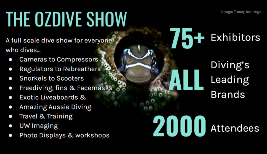 Be seen by over 2000 active divers at OZTek2019 Dive, Training & Travel Show